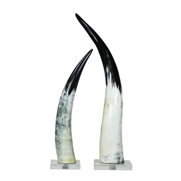 Black & White Cow Horn on Base Approx. 25" Tall